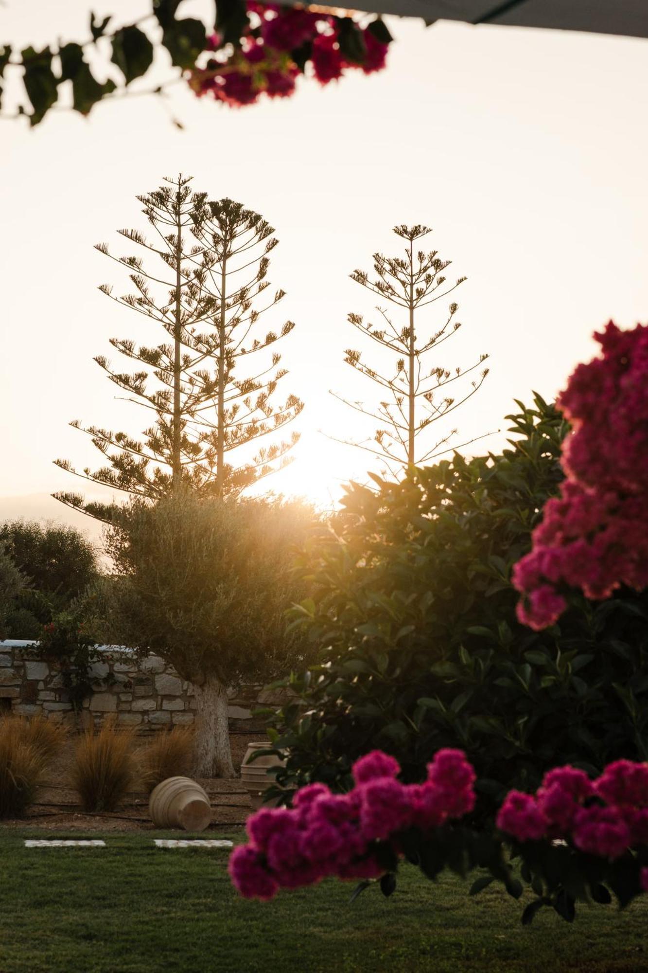 White Dunes Luxury Boutique Hotel Szánda María Kültér fotó