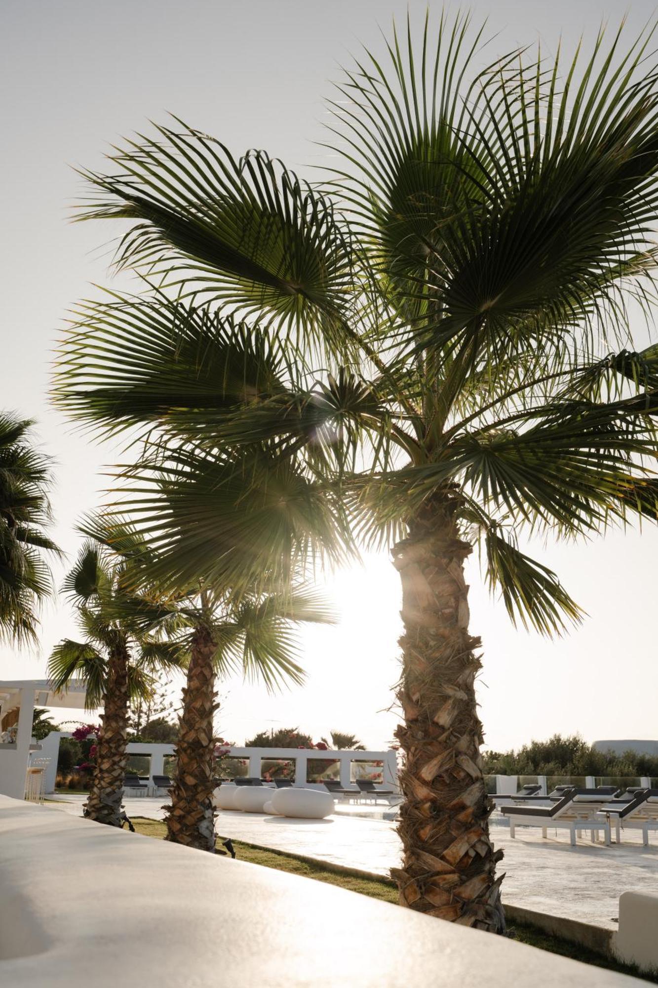 White Dunes Luxury Boutique Hotel Szánda María Kültér fotó
